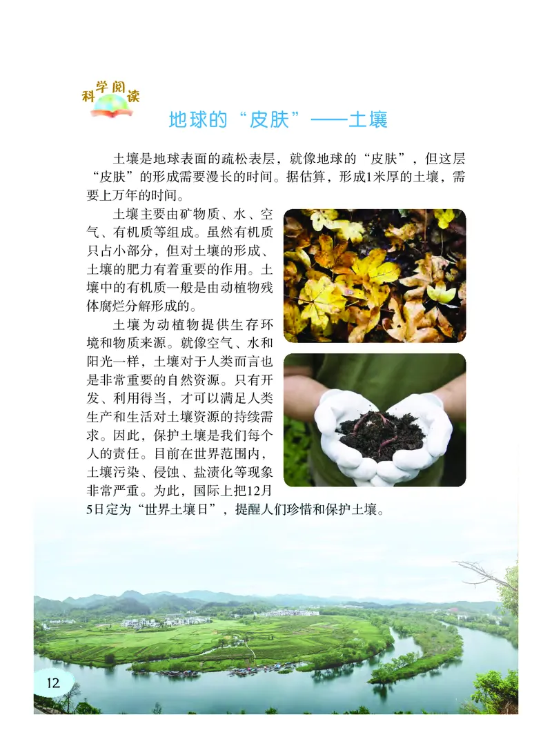 义务教育教科书&middot;科学三年级下册（粤教粤科版）_三年级上下册资料_小学三年级学习资料-25年更新版_3-10、小学三年级科学下册_粤教版