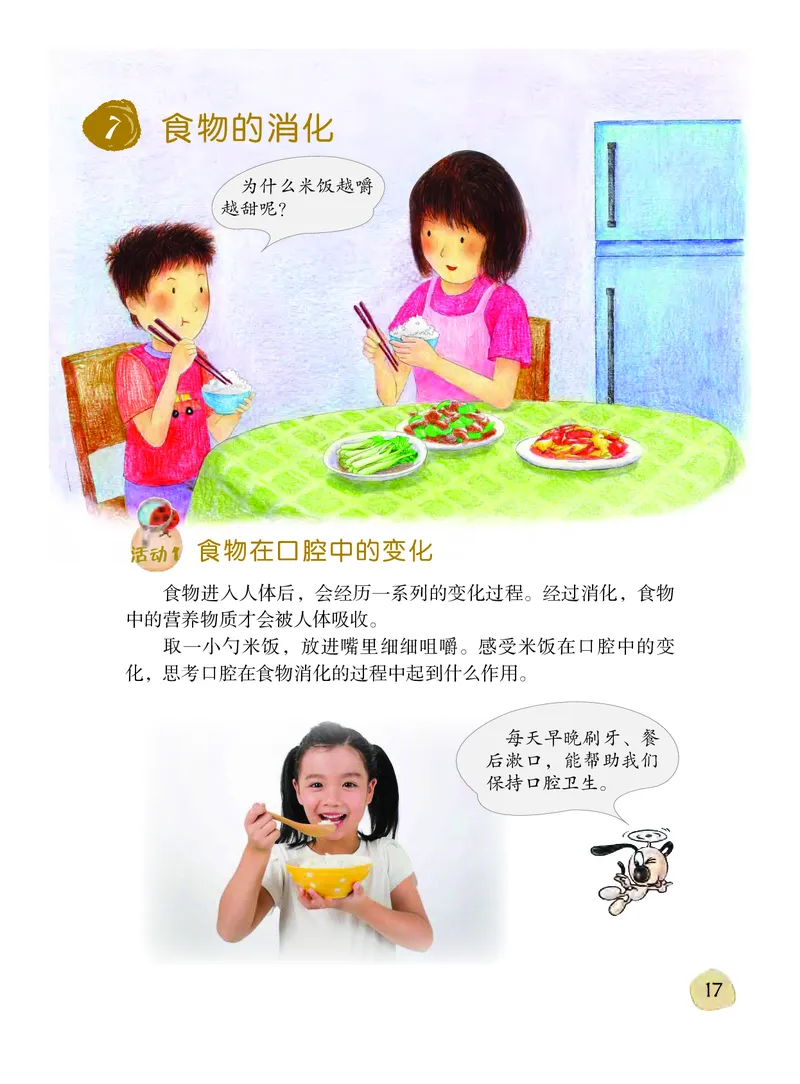 义务教育教科书&middot;科学三年级下册（粤教粤科版）_三年级上下册资料_小学三年级学习资料-25年更新版_3-10、小学三年级科学下册_粤教版