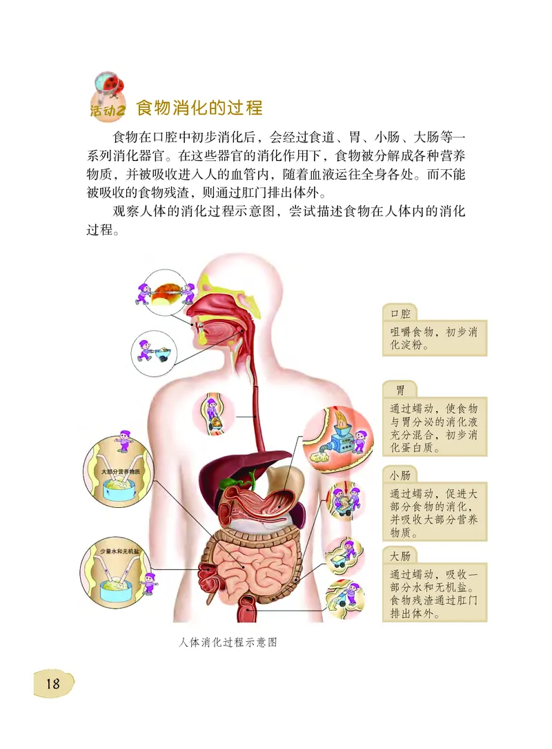 义务教育教科书&middot;科学三年级下册（粤教粤科版）_三年级上下册资料_小学三年级学习资料-25年更新版_3-10、小学三年级科学下册_粤教版