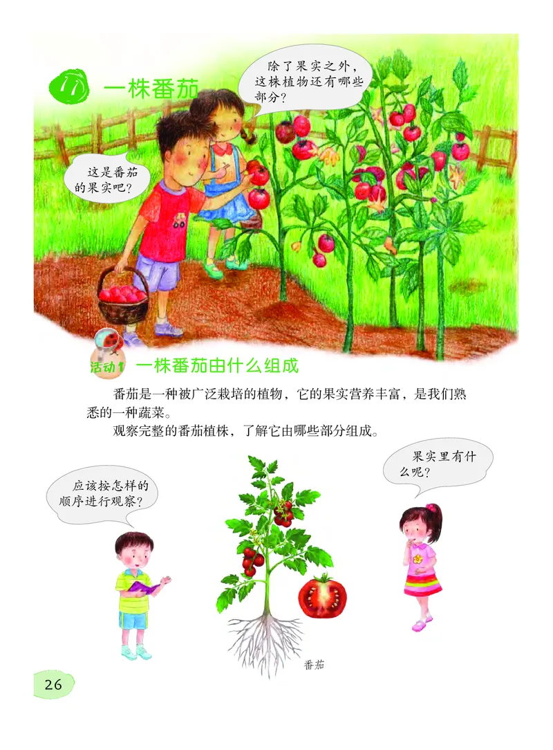 义务教育教科书&middot;科学三年级下册（粤教粤科版）_三年级上下册资料_小学三年级学习资料-25年更新版_3-10、小学三年级科学下册_粤教版