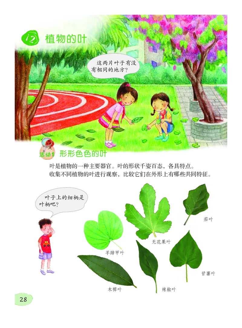 义务教育教科书&middot;科学三年级下册（粤教粤科版）_三年级上下册资料_小学三年级学习资料-25年更新版_3-10、小学三年级科学下册_粤教版