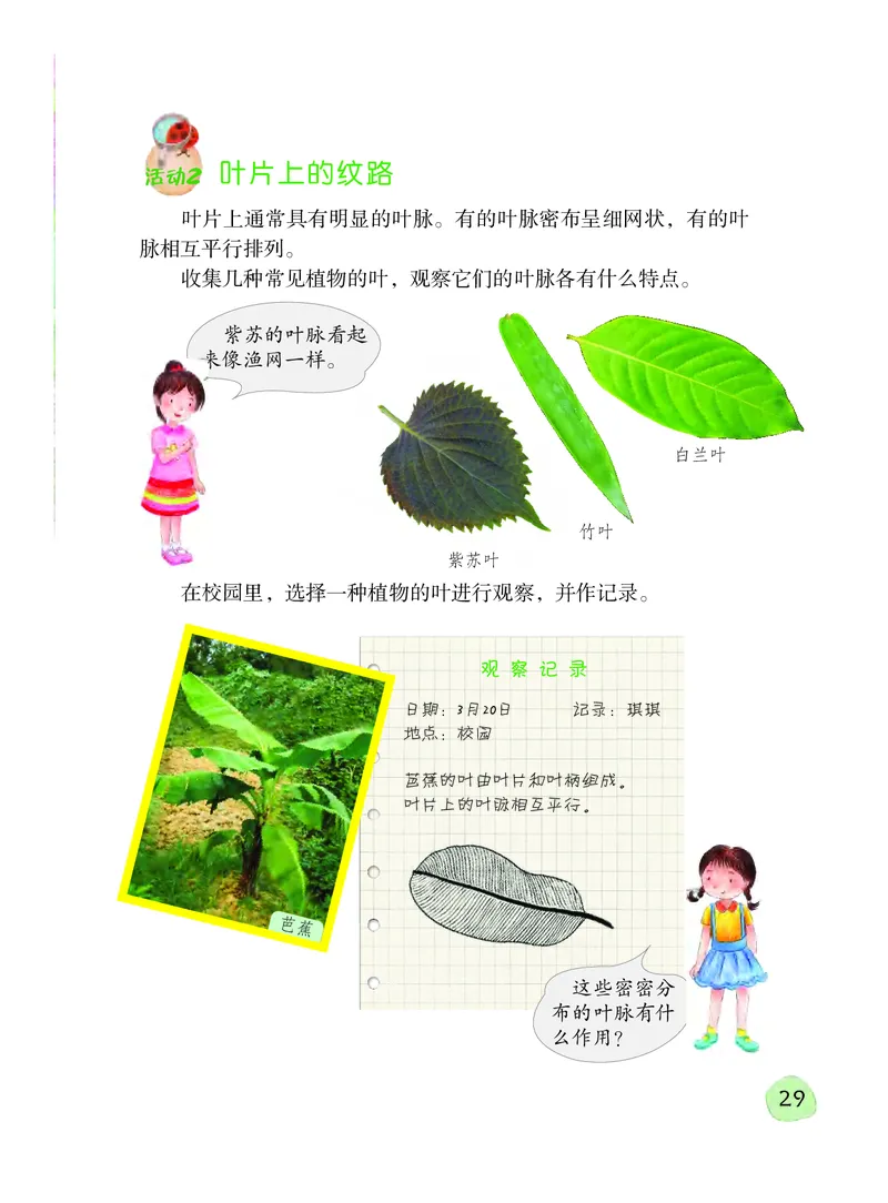 义务教育教科书&middot;科学三年级下册（粤教粤科版）_三年级上下册资料_小学三年级学习资料-25年更新版_3-10、小学三年级科学下册_粤教版