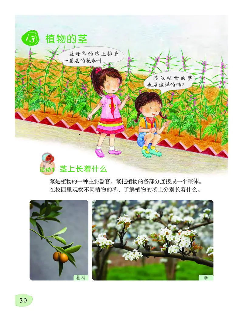 义务教育教科书&middot;科学三年级下册（粤教粤科版）_三年级上下册资料_小学三年级学习资料-25年更新版_3-10、小学三年级科学下册_粤教版