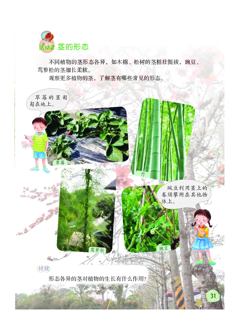 义务教育教科书&middot;科学三年级下册（粤教粤科版）_三年级上下册资料_小学三年级学习资料-25年更新版_3-10、小学三年级科学下册_粤教版