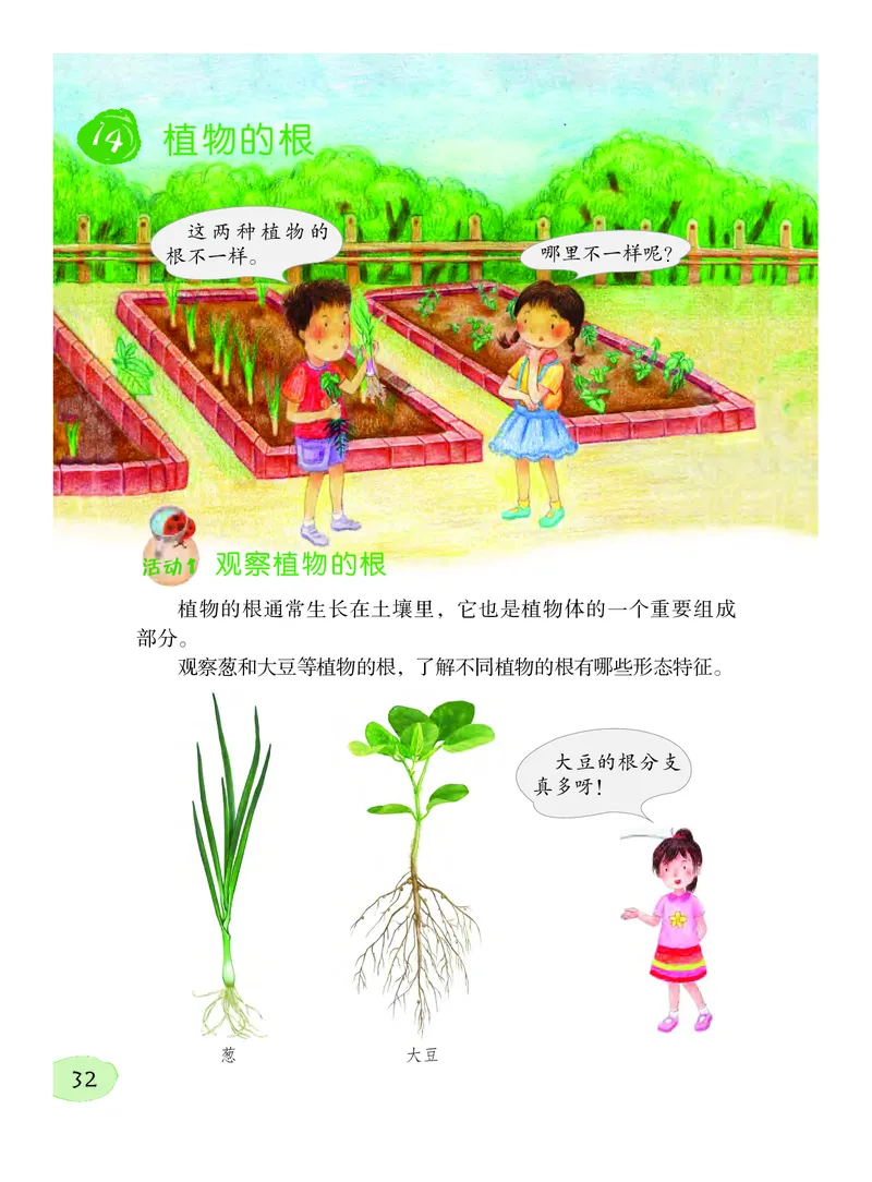 义务教育教科书&middot;科学三年级下册（粤教粤科版）_三年级上下册资料_小学三年级学习资料-25年更新版_3-10、小学三年级科学下册_粤教版