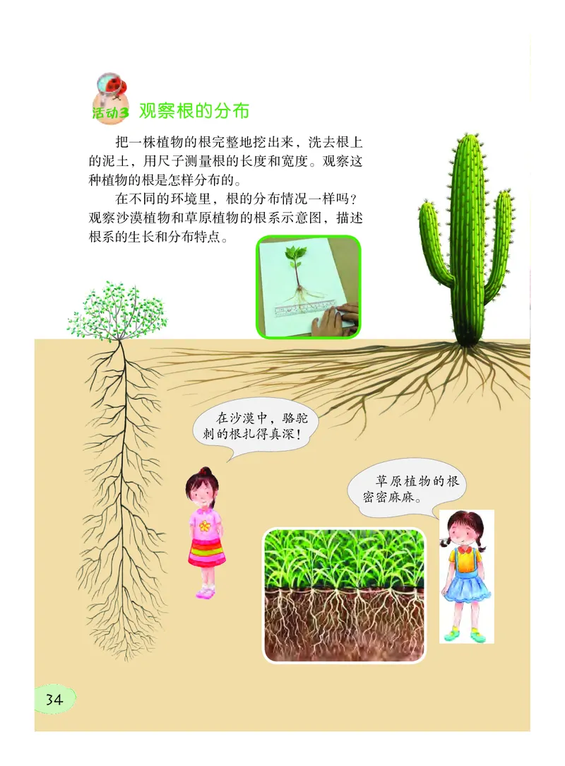 义务教育教科书&middot;科学三年级下册（粤教粤科版）_三年级上下册资料_小学三年级学习资料-25年更新版_3-10、小学三年级科学下册_粤教版