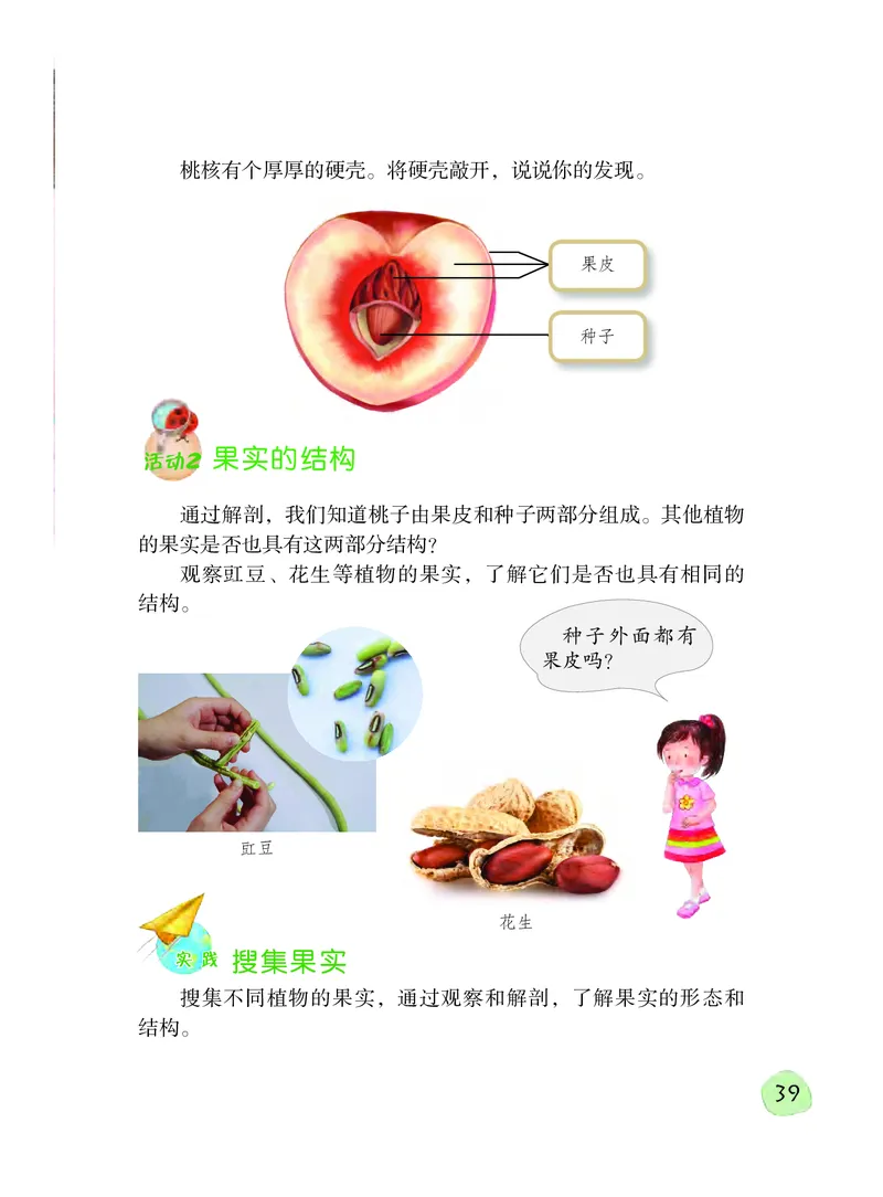 义务教育教科书&middot;科学三年级下册（粤教粤科版）_三年级上下册资料_小学三年级学习资料-25年更新版_3-10、小学三年级科学下册_粤教版