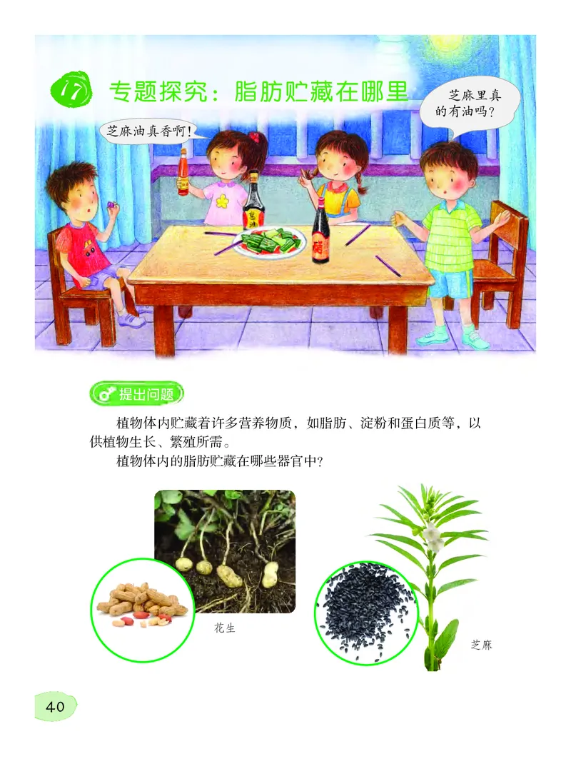 义务教育教科书&middot;科学三年级下册（粤教粤科版）_三年级上下册资料_小学三年级学习资料-25年更新版_3-10、小学三年级科学下册_粤教版