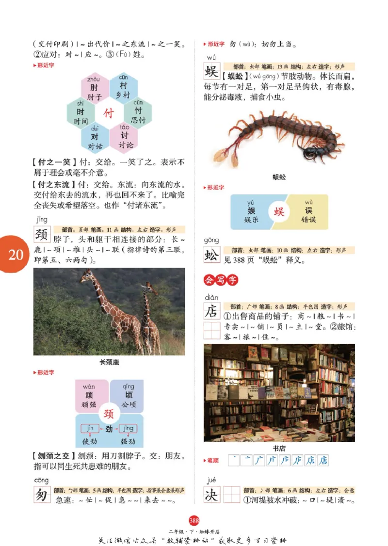 绘本课堂二年级下册语文部编版A2_二年级上下册资料_小学二年级学习资料-25年更新版_2-02、小学二年级语文下册_2-2-2、练习题、作业、试题、试卷_电子册类