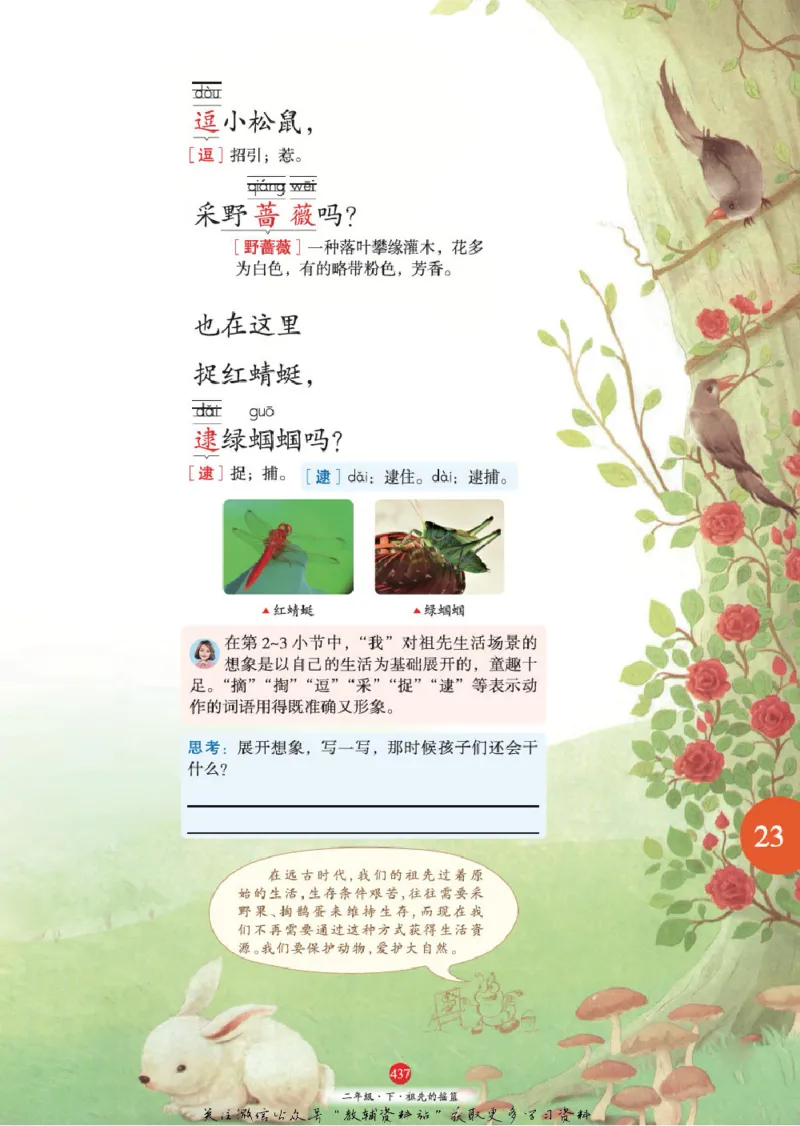 绘本课堂二年级下册语文部编版A2_二年级上下册资料_小学二年级学习资料-25年更新版_2-02、小学二年级语文下册_2-2-2、练习题、作业、试题、试卷_电子册类