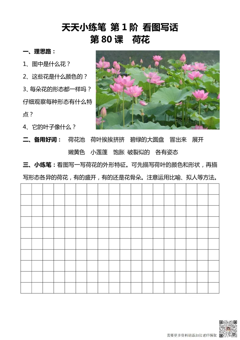 看图写话100篇天天小练笔_一年级上下册资料_一年级上册小红书同款资料