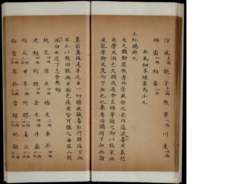 6_绝版书_天涯系列_t涯_绝版古籍电子书合集（13大类）_医书类_丸散膏丹神效十门