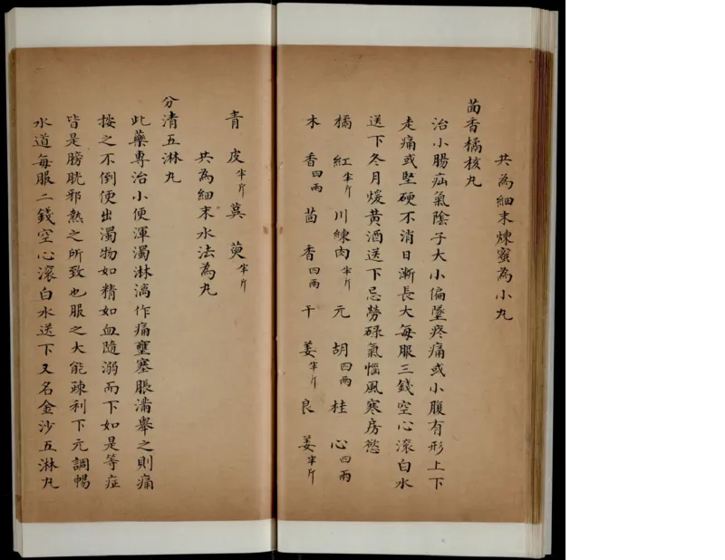 6_绝版书_天涯系列_t涯_绝版古籍电子书合集（13大类）_医书类_丸散膏丹神效十门