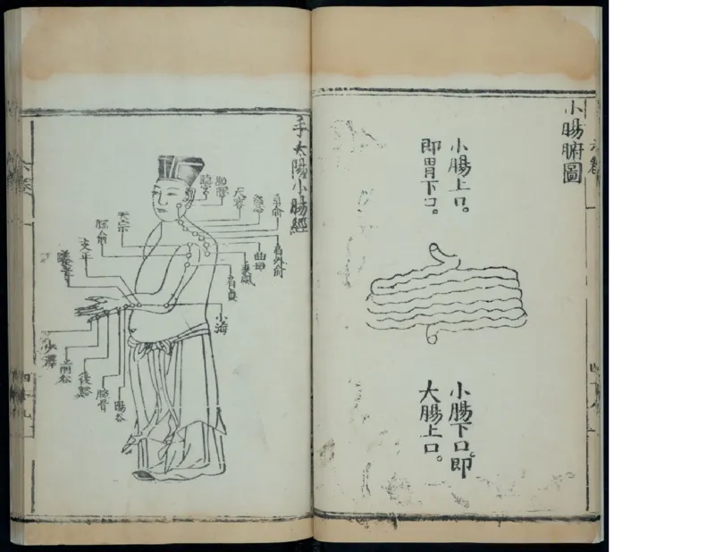 8_绝版书_天涯系列_t涯_绝版古籍电子书合集（13大类）_医书类_针灸大成