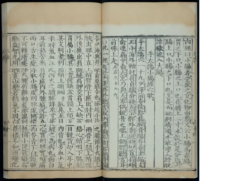 8_绝版书_天涯系列_t涯_绝版古籍电子书合集（13大类）_医书类_针灸大成