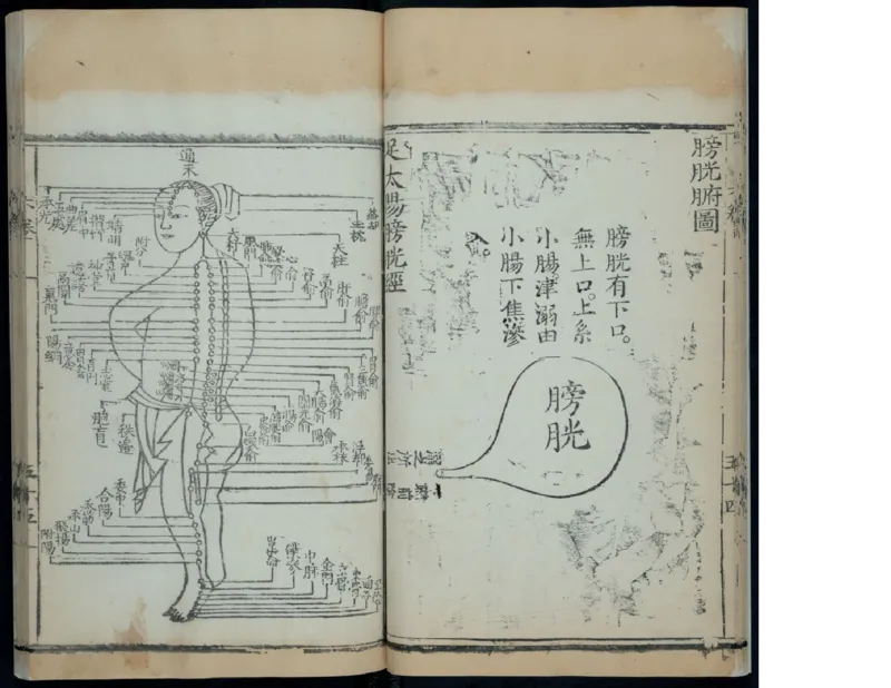 8_绝版书_天涯系列_t涯_绝版古籍电子书合集（13大类）_医书类_针灸大成