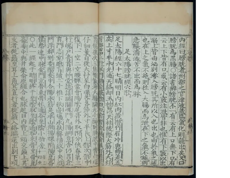 8_绝版书_天涯系列_t涯_绝版古籍电子书合集（13大类）_医书类_针灸大成