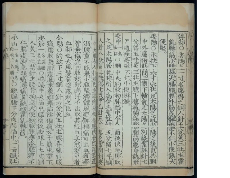 8_绝版书_天涯系列_t涯_绝版古籍电子书合集（13大类）_医书类_针灸大成