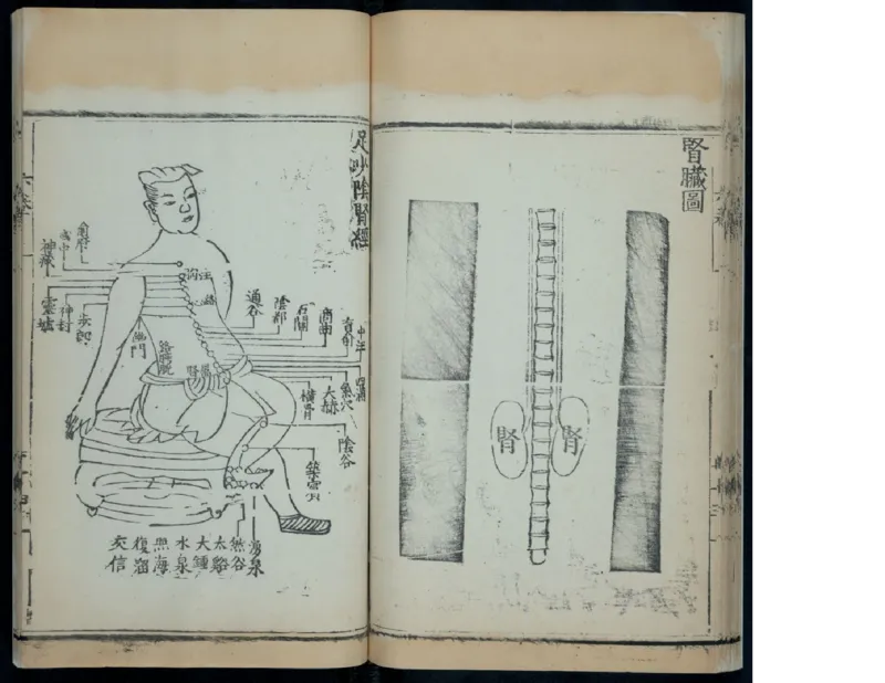 8_绝版书_天涯系列_t涯_绝版古籍电子书合集（13大类）_医书类_针灸大成