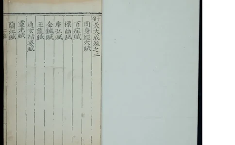 2_绝版书_天涯系列_t涯_绝版古籍电子书合集（13大类）_医书类_针灸大成