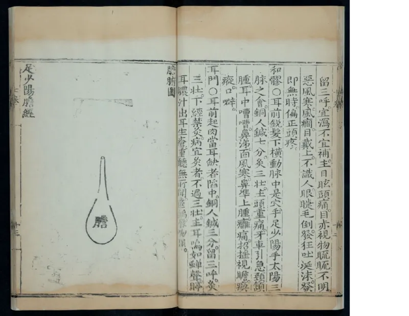 9_绝版书_天涯系列_t涯_绝版古籍电子书合集（13大类）_医书类_针灸大成