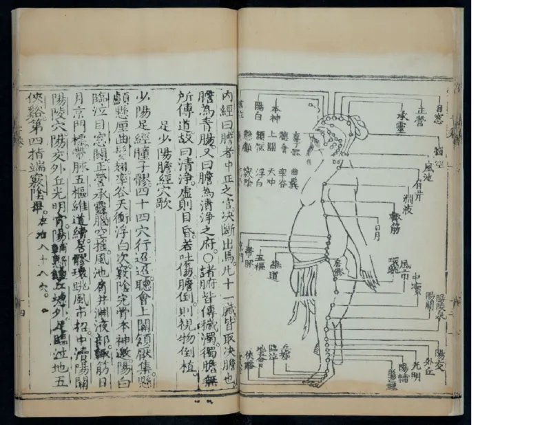 9_绝版书_天涯系列_t涯_绝版古籍电子书合集（13大类）_医书类_针灸大成