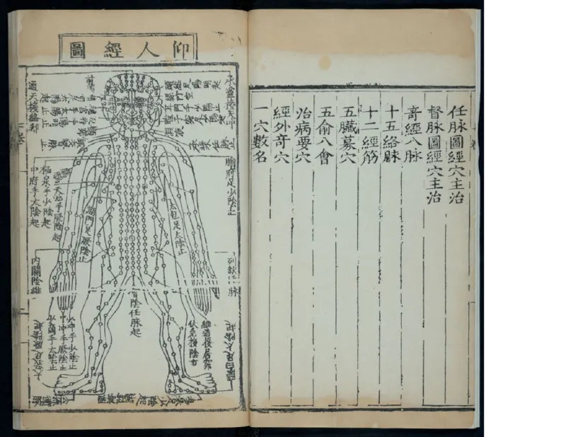 9_绝版书_天涯系列_t涯_绝版古籍电子书合集（13大类）_医书类_针灸大成
