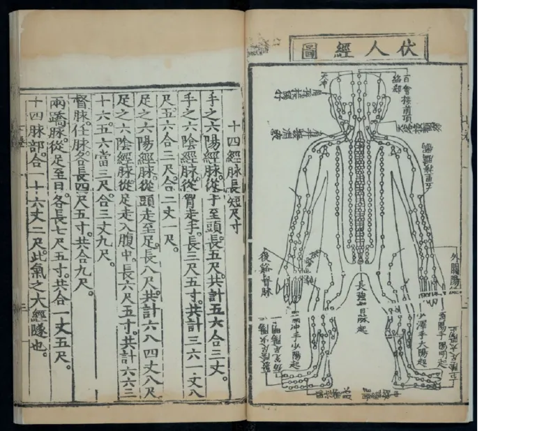 9_绝版书_天涯系列_t涯_绝版古籍电子书合集（13大类）_医书类_针灸大成