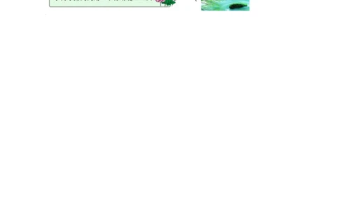 类文阅读&mdash;18古诗二首_二年级上下册资料_小学二年级学习资料-25年更新版_2-01、小学二年级语文上册_2-1-2、练习题、作业、试题、试卷_专项练习_语文二（上）类文阅读