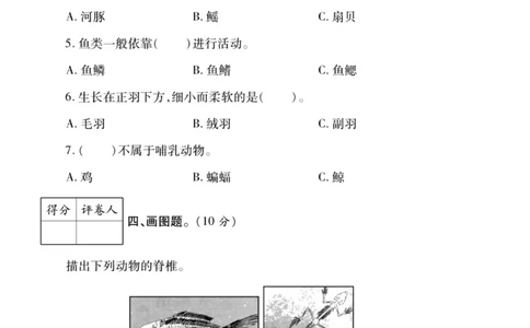 科学苏教版单元测试卷4年级上册_25秋小学语数英习题试卷_科学_25秋苏教版科学3-6