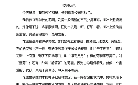部编版小学语文3年级上册期中检测卷（九）及答案_三年级上下册资料_三年级上语数英上下册学习资料_3-8-1、小学三年级语文上册_统编、部编、人教（语文全国统一只有一个版）