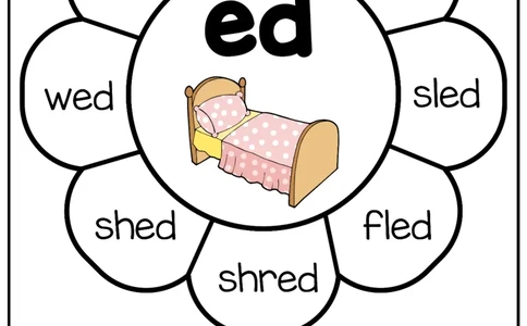 自然拼读花朵2_一年级上下册资料_小学一年级学习资料-25年更新版_1-00、幼小衔接_幼小衔接自然拼读_自然拼读花朵-123完整版