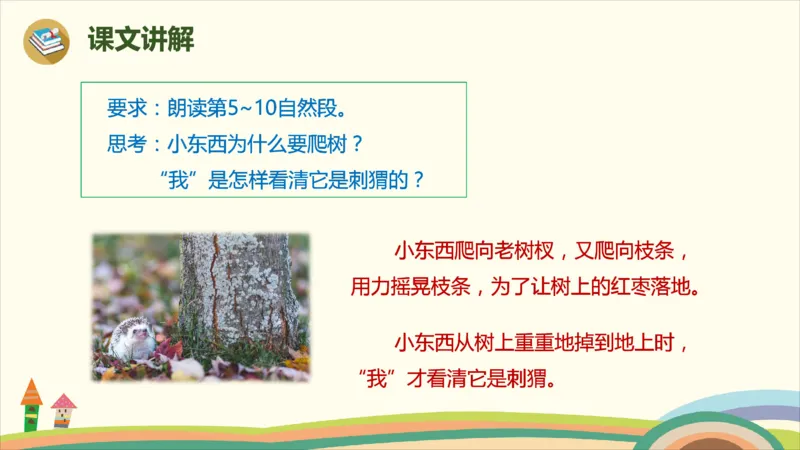 部编版小学三年级上册语文学习教案第7单元23《带刺的朋友》_三年级上下册资料_小学三年级学习资料-25年更新版_3-01、小学三年级语文上册_3-1-3、课件、讲义、教案