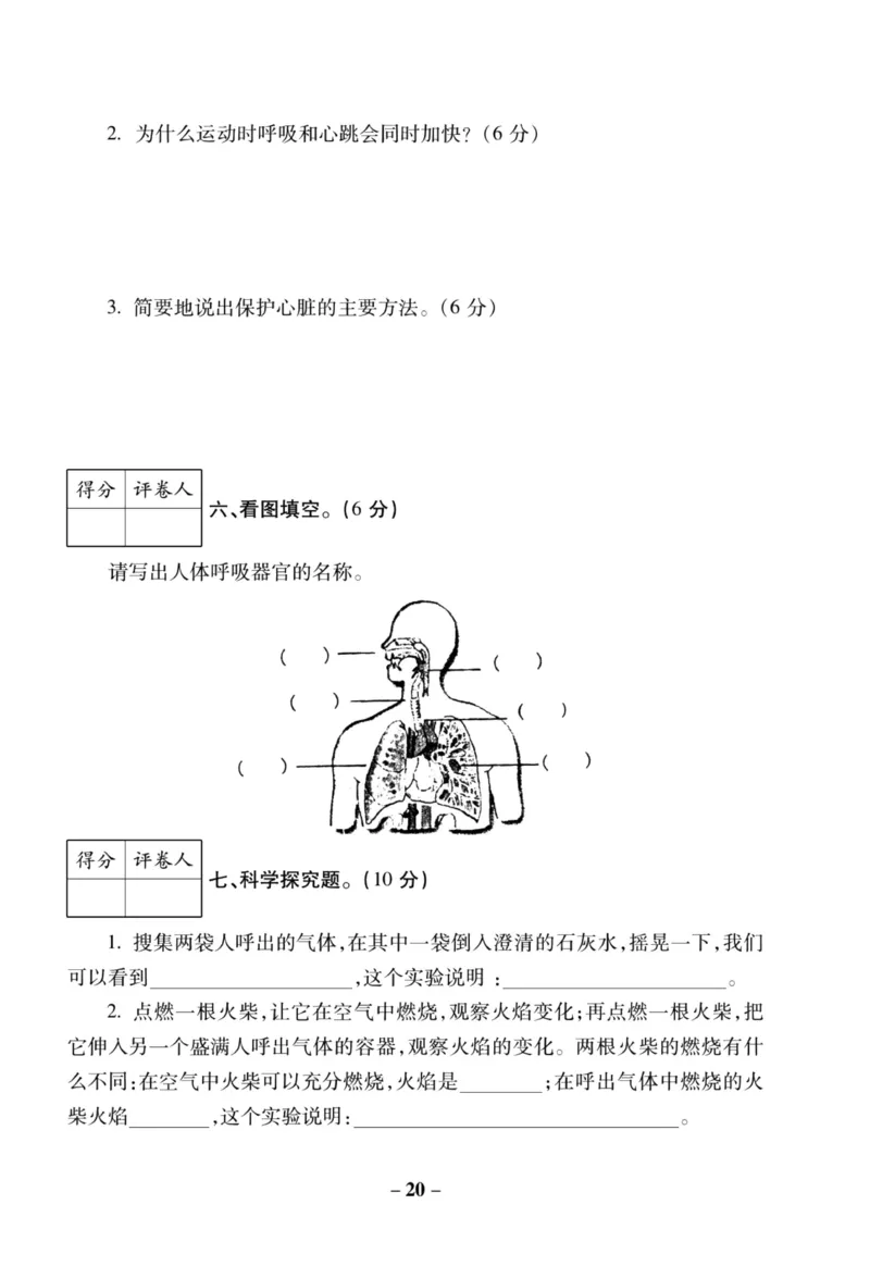 科学苏教版单元测试卷5年级上册_25秋小学语数英习题试卷_科学_25秋苏教版科学3-6