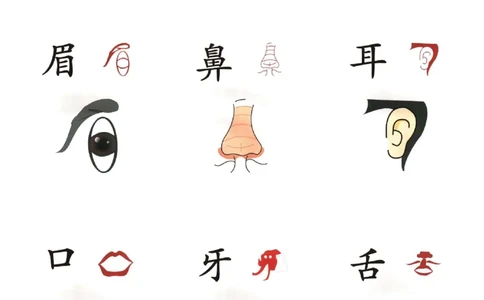 象形文字_一年级上下册资料_小学一年级学习资料-25年更新版_1-00、幼小衔接_幼小衔接识字启蒙篇