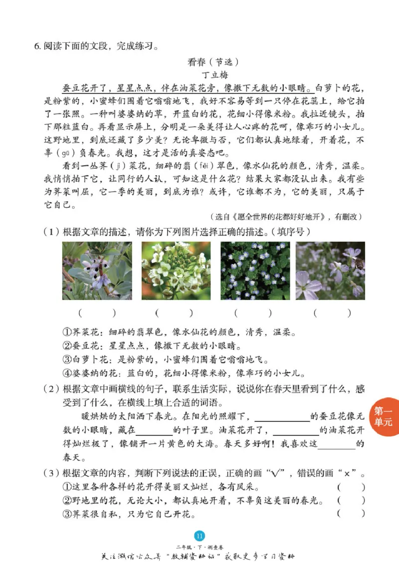 绘本课堂二年级下册语文部编版B1_二年级上下册资料_小学二年级学习资料-25年更新版_2-02、小学二年级语文下册_2-2-2、练习题、作业、试题、试卷_电子册类