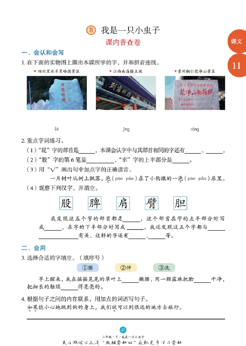 绘本课堂二年级下册语文部编版B1_二年级上下册资料_小学二年级学习资料-25年更新版_2-02、小学二年级语文下册_2-2-2、练习题、作业、试题、试卷_电子册类