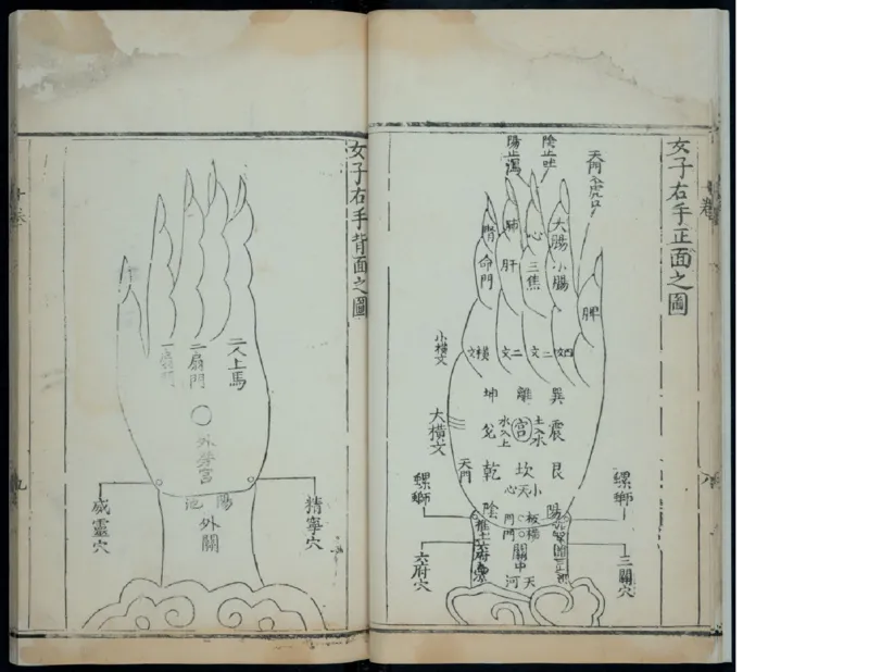15_绝版书_天涯系列_t涯_绝版古籍电子书合集（13大类）_医书类_针灸大成