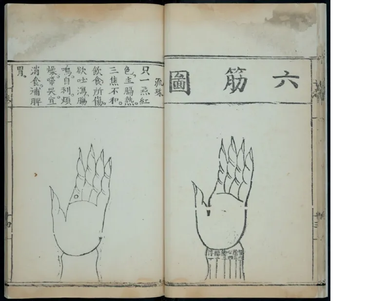 15_绝版书_天涯系列_t涯_绝版古籍电子书合集（13大类）_医书类_针灸大成