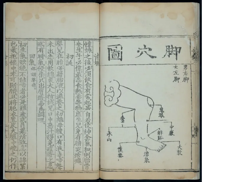 15_绝版书_天涯系列_t涯_绝版古籍电子书合集（13大类）_医书类_针灸大成