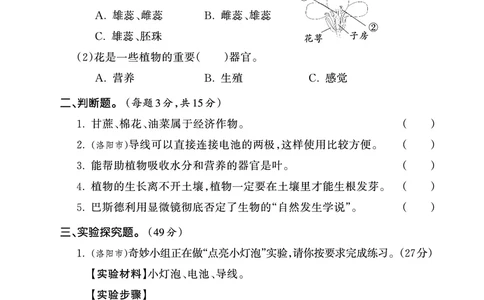 期末综合测试正文_三年级上下册资料_小学三年级学习资料-25年更新版_3-10、小学三年级科学下册_大象版_期末测试卷