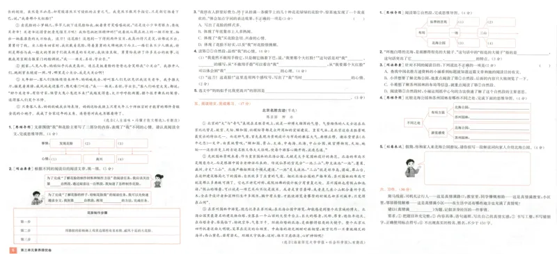 六年级语文上册人教版25秋《拔尖大试卷》_25秋小学语数英习题试卷_语文_1-6年级语文上册人教版25秋《拔尖大试卷》