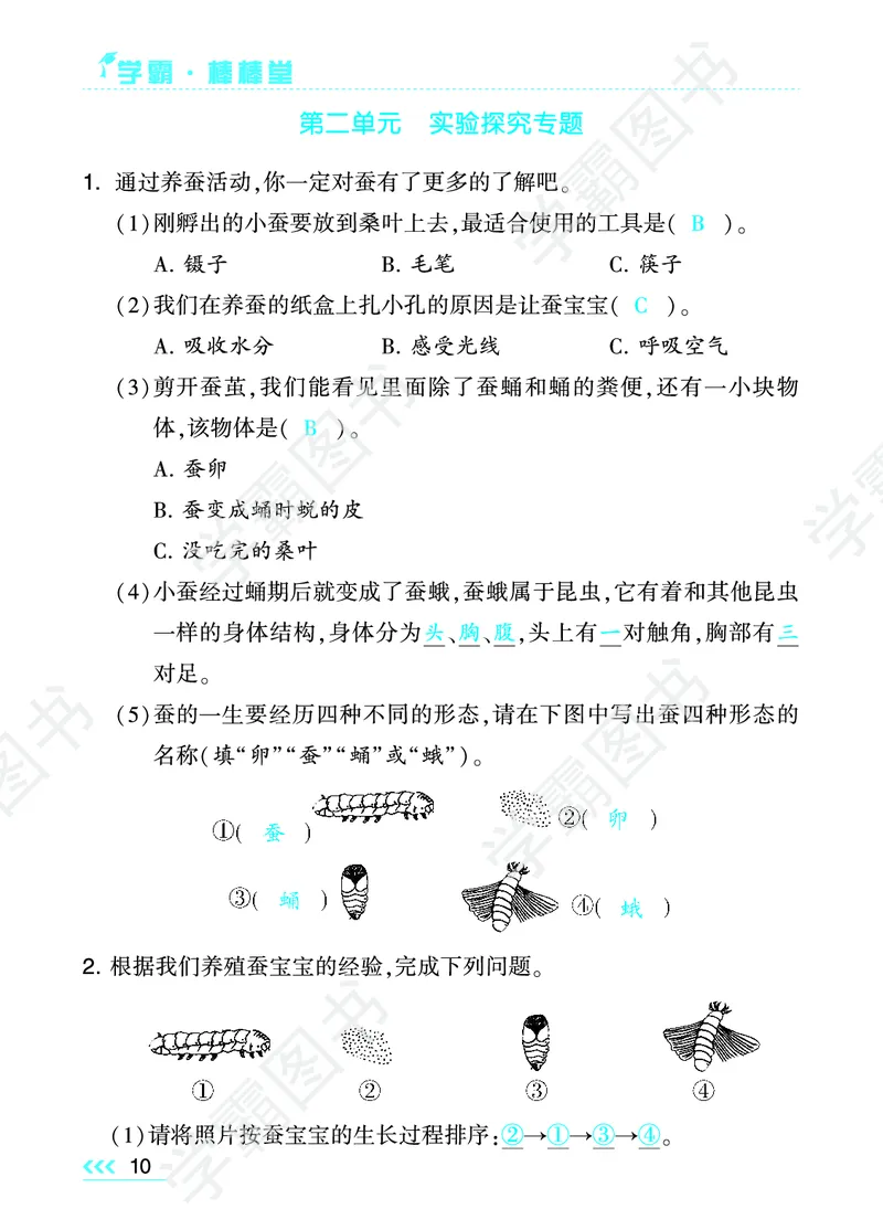 科学单元总结（三年级下）_三年级上下册资料_小学三年级学习资料-25年更新版_3-10、小学三年级科学下册_教科版_知识点