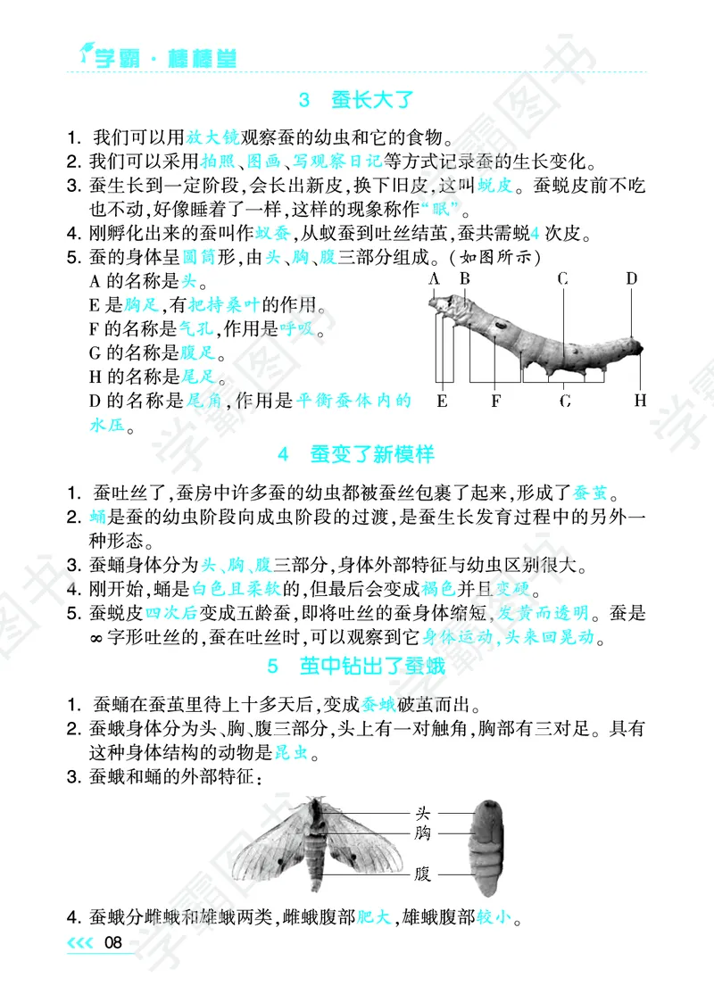 科学单元总结（三年级下）_三年级上下册资料_小学三年级学习资料-25年更新版_3-10、小学三年级科学下册_教科版_知识点