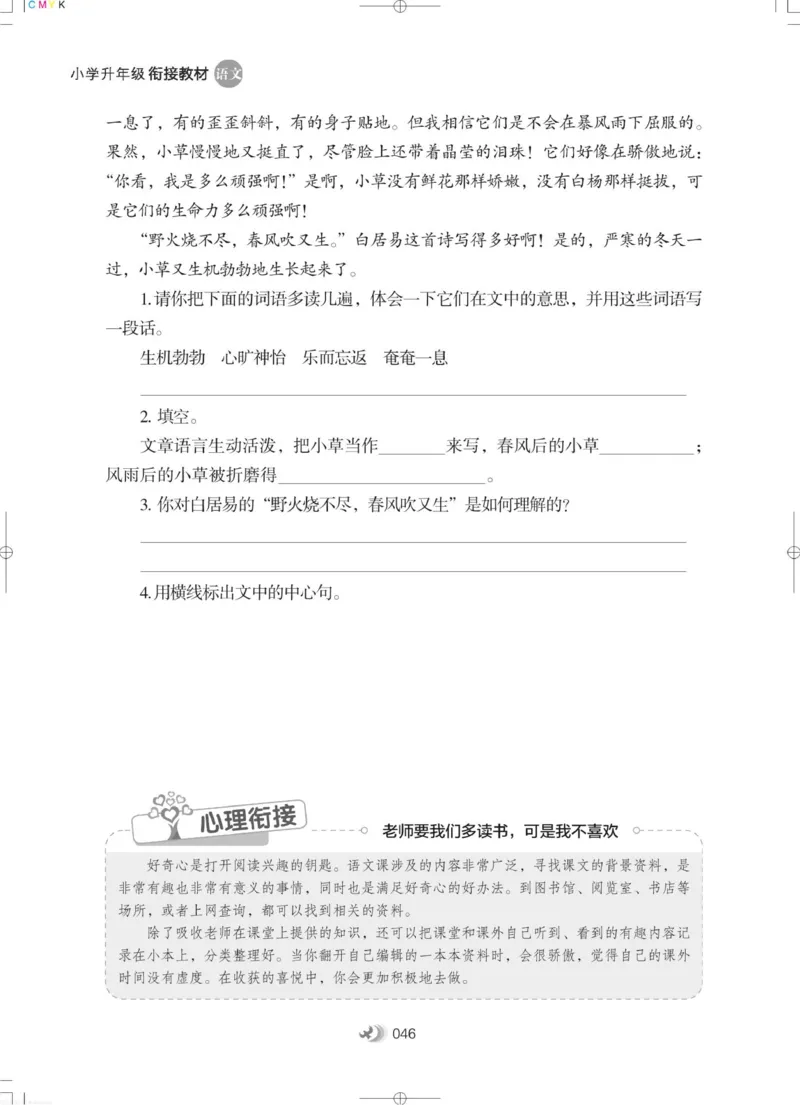 衔接教材小学升年级-语文2升3_三年级上下册资料_小学三年级学习资料-25年更新版_3-12、寒暑假大礼包_暑假