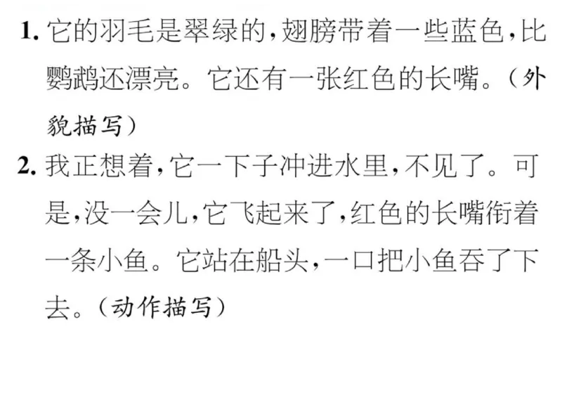 部编三年级语文上册必背课文重点知识梳理汇总_三年级上下册资料_三年级上语数英上下册学习资料_3-8-1、小学三年级语文上册_统编、部编、人教（语文全国统一只有一个版）_6、专项练习