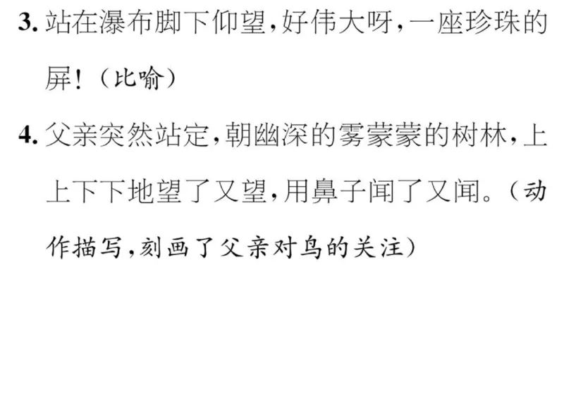 部编三年级语文上册必背课文重点知识梳理汇总_三年级上下册资料_三年级上语数英上下册学习资料_3-8-1、小学三年级语文上册_统编、部编、人教（语文全国统一只有一个版）_6、专项练习