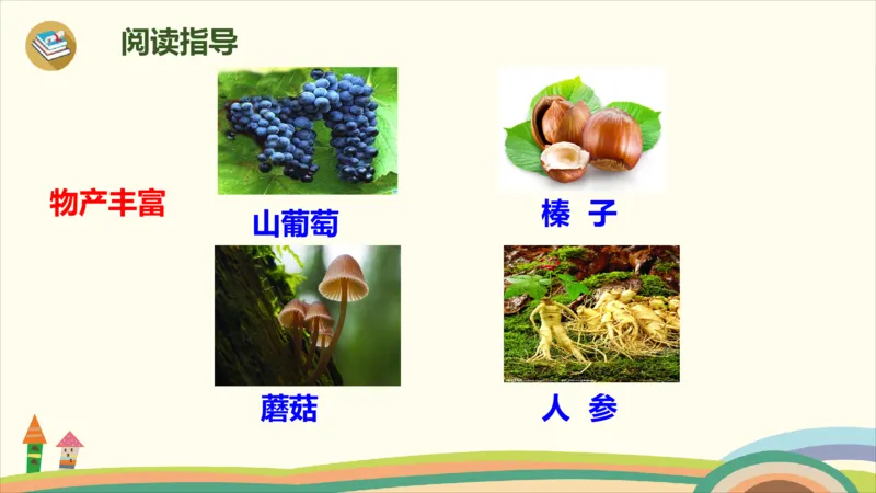 部编版小学三年级上册语文学习教案第6单元20《美丽的小兴安岭》_三年级上下册资料_小学三年级学习资料-25年更新版_3-01、小学三年级语文上册_3-1-3、课件、讲义、教案