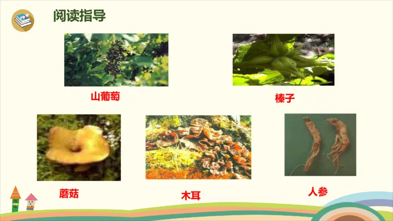 部编版小学三年级上册语文学习教案第6单元20《美丽的小兴安岭》_三年级上下册资料_小学三年级学习资料-25年更新版_3-01、小学三年级语文上册_3-1-3、课件、讲义、教案