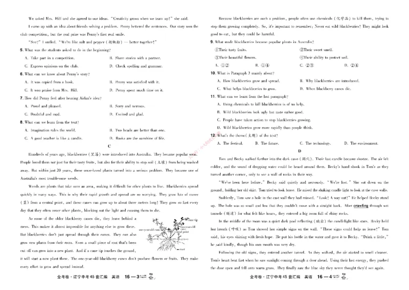 2026《中考英语45套》辽宁_45套中招_2026《中考英语45套》辽宁